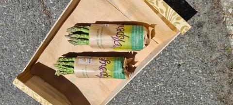 bandes asperges 100% kraft