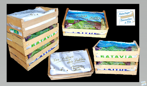 garnitures salades fruits et légumes emballages